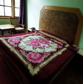 Hotel Manali Van Vihar, Manali 2